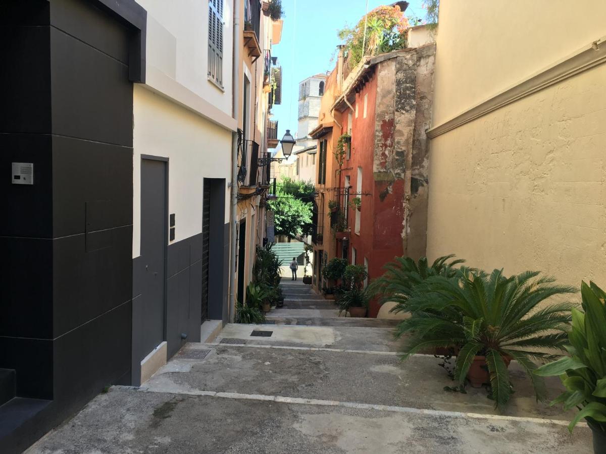 パルマ・デ・マリョルカ Casa Baldovinosヴィラ エクステリア 写真